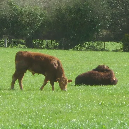 Bed & Breakfast The Glen Farmhouse 4*