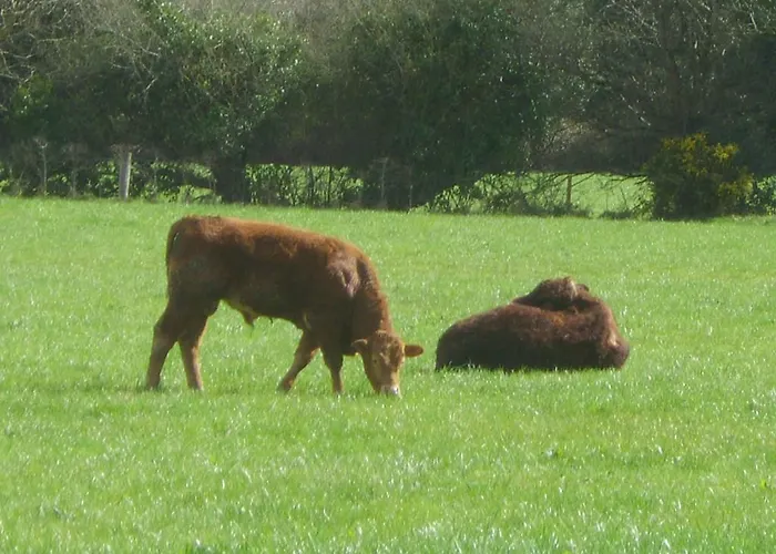 ベッド・アンド・ブレックファスト The Glen 4*